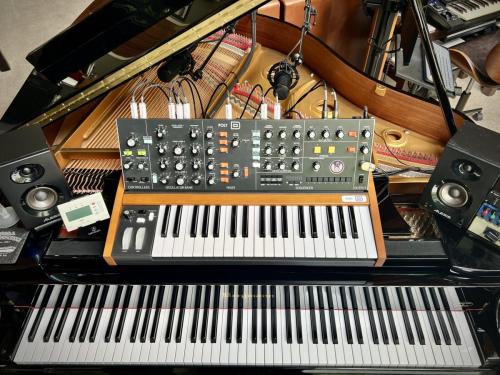 05 Piano  Minimoog clone