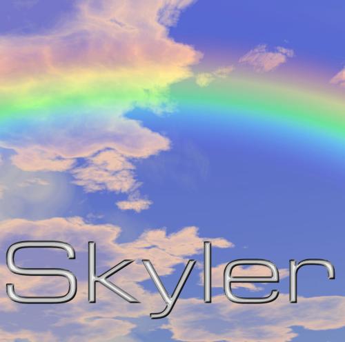 16 Skyler - disc 3 of The Decade Box